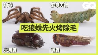 How To Eat Every InsectGQ Taiwan