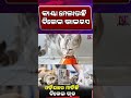 କାୟା ମେଲାଉଛି ବିଲେଇ ଭାଇରସ l News Craft l Cat l Virus l Odisha