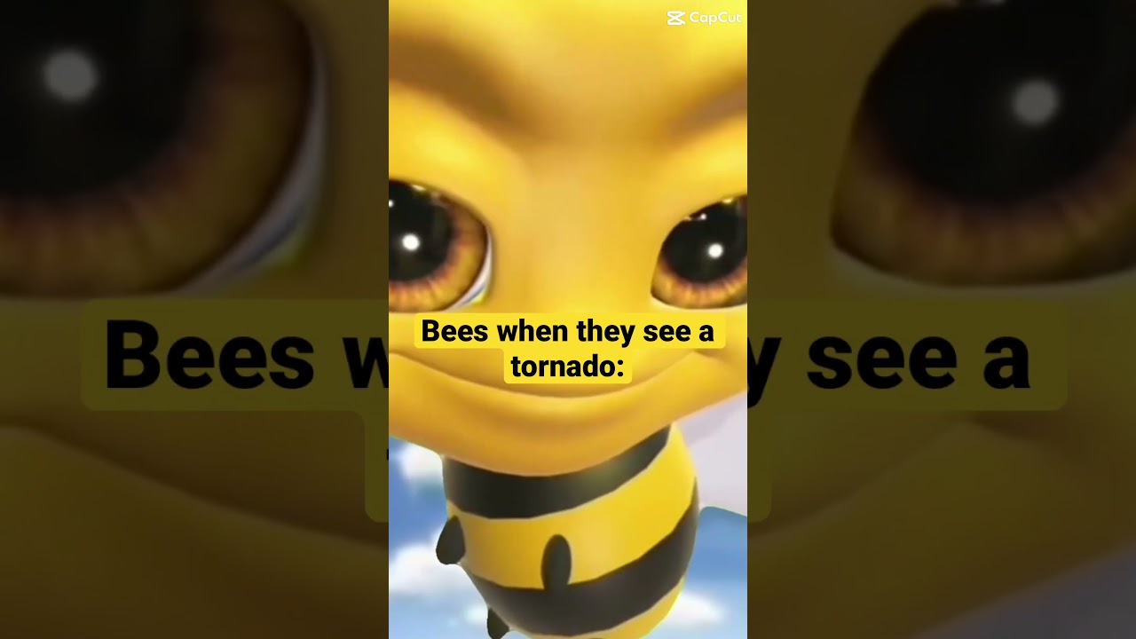Bees when they see a tornado: 