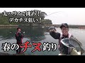 太ハリスで挑め！デカバン狙いの春のチヌ釣り の動画、YouTube動画。