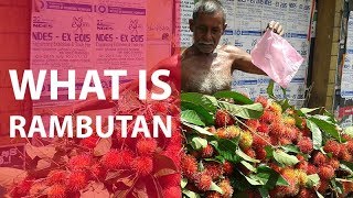 What Is Rambutan? | Fruits You Probably Never Heard Of | Ep. 4