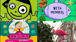 PBS KIDS Program Break #5 (WETA-TV 2002)