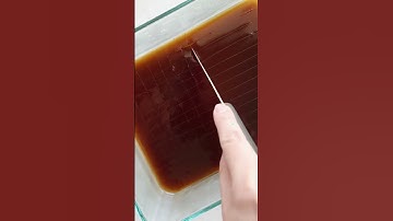 Easy COFFEE JELLY Recipe #milktea