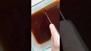 Easy Coffee Jelly Recipe