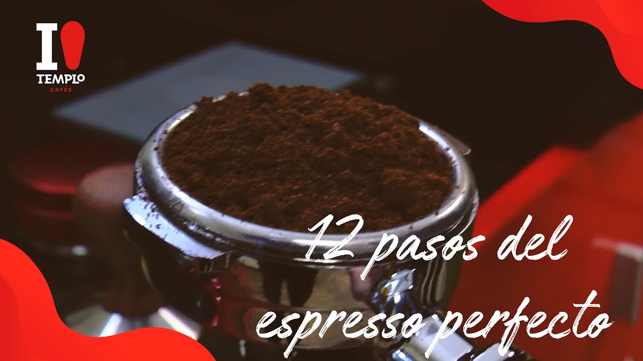 Templo Cafés - 12 pasos del espresso perfecto