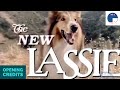 The New Lassie Opening Credits