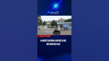 9 người ở Lâm Đồng bị ngộ độc cá nóc, một người nguy kịch