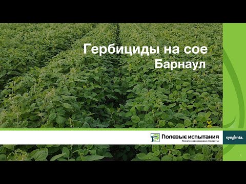 Гербициды на сое,