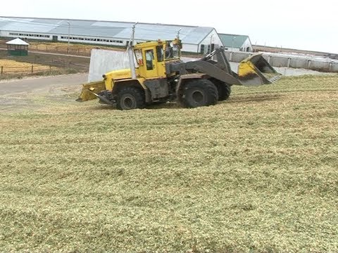 Кышкылыкка мул азык запасы белән