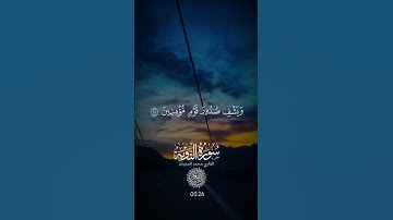 قاتلوهم يعذبهم الله بأيديكم ويخزهم وينصركم عليهم ويشف صدور قوم مؤمنين | الآية 14