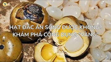 Hạt Đác Ăn Sống Được Không? Khám Phá Công Dụng "Vàng"
