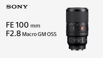 Introducing FE 100mm F2.8 Macro GM OSS | Sony | α Lens