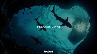 Download Lagu Malaikat Cinta  #radja MP3