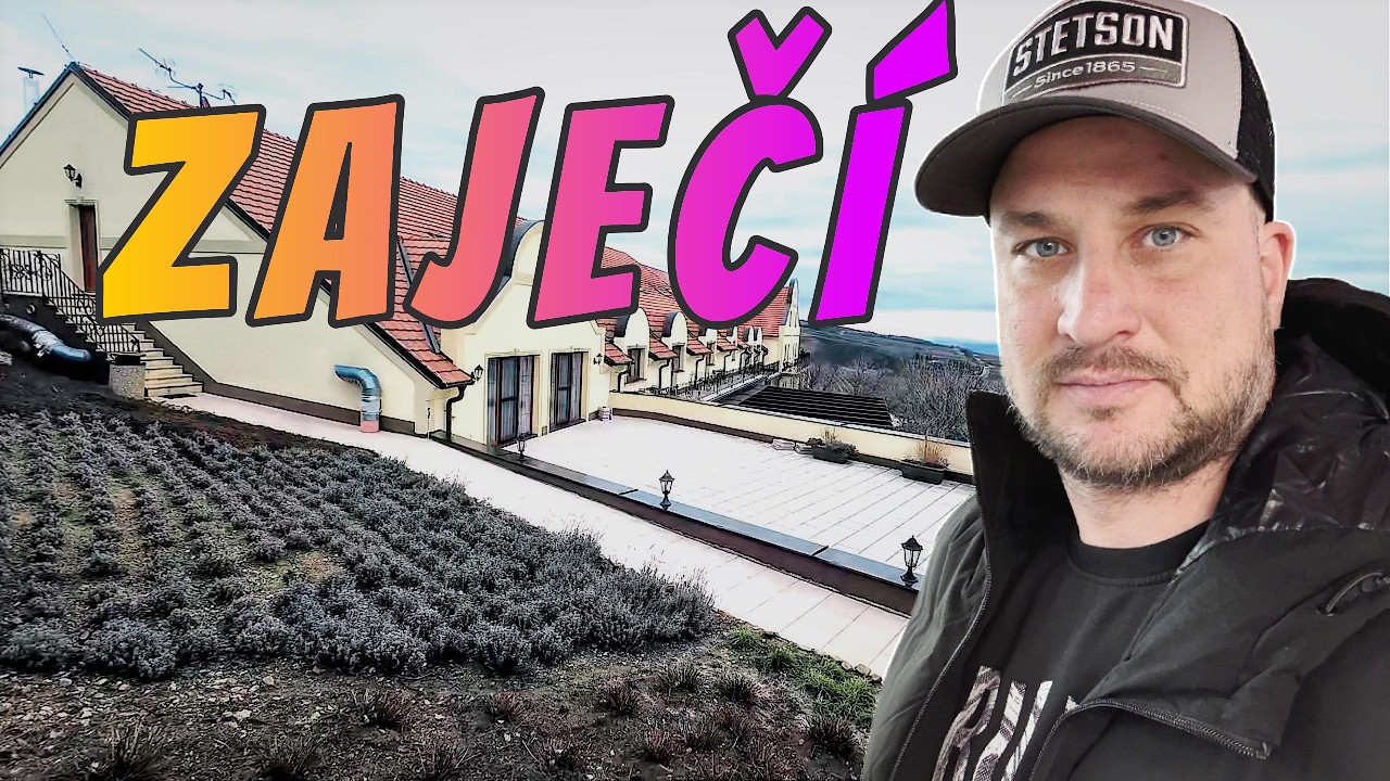 Wine Tasting & Culinary Delights (Ochutnávka vína a kulinářské zážitky) Zaječí