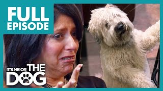 Owner Finds Out Dog is SERIOUSLY ILL💔| Full Episode | It