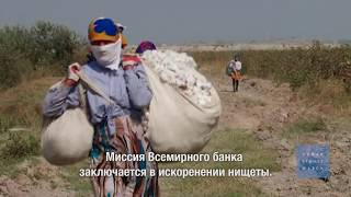Узбекистан  принудительный труд связан с проектами Всемирного банка