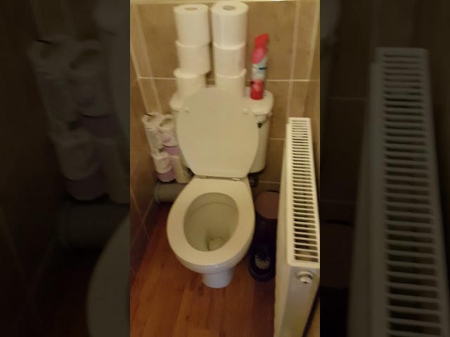 Video 1: 