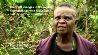 Climate Change -  Remapping Uganda's Future (3min)