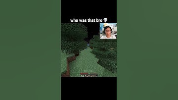 Minecraft White Enderman Moment