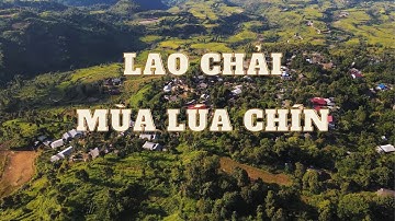 AROUND VIET NAM | Lao Chải mùa lúa chín