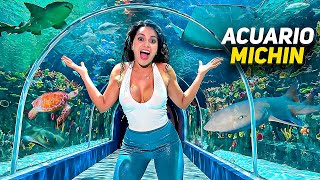 Conociendo el ACUARIO MICHIN en Cdmx el más nuevo de México 🇲🇽@abailarconmaga