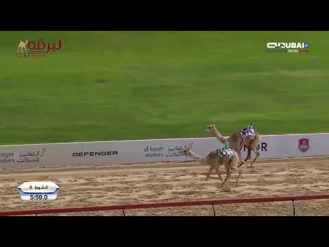 البث المباشر منافسات الحقايق لأبناء القبائل الرموز مهرجان ختامي المرموم التراثي مساء 18 4 2025 البث المباشر منافسات الحقايق لأبناء القبائل الرموز مهرجان ختامي المرموم التراثي مساء 18 4 2025