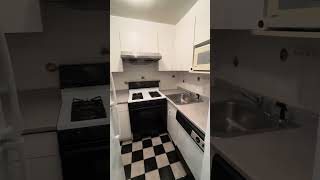 94-11 60th ave #4A Elmhurst NY NY 11373 alcove studio for sale
