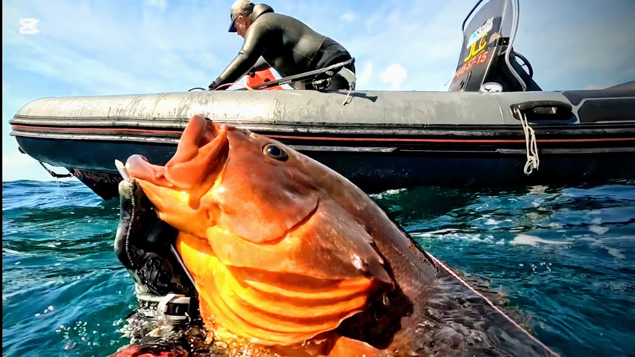 Meroo Fishing #SpearFishing MERO 10'5 kg varias bajadas - YouTube