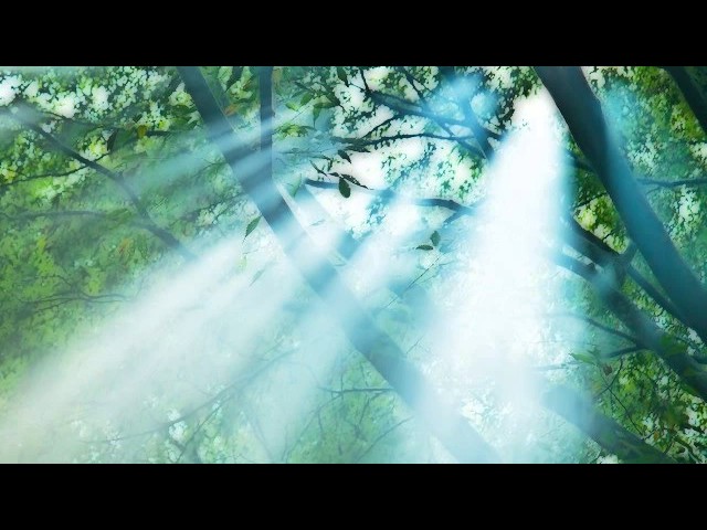 【癒し系】自然音 静かな森 "Quiet Forest Sound Meditation"