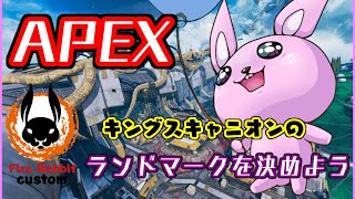 【みんなで決めるAPEX】6/22のカスタムのキンキャニのランドマークの場所をみんなで決めよう【#Vtuber/かったん】