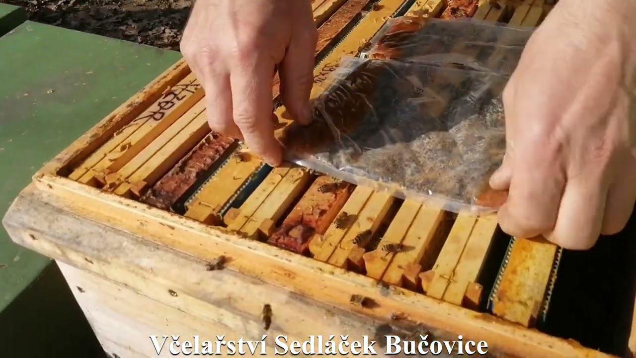 31/24 Podávám BeeStrong a těsta 3/3 6.3.24