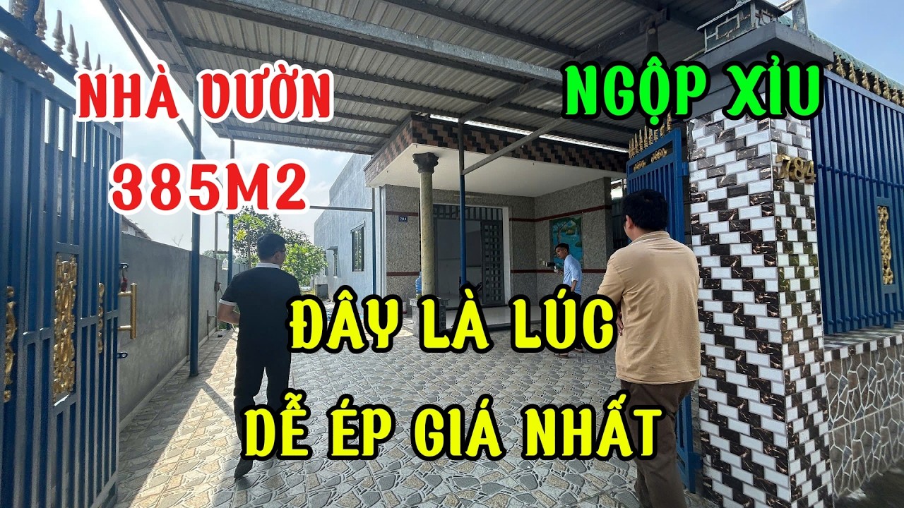 nợ ngân hàng cả tỷ. cháu nội đích tôn rao bán gia sản ông bà để lại. nhà vườn shr gần 400m2 phun thổ