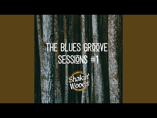 Shakin Woods - The Place To Be