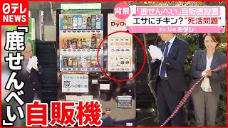 【鹿せんべい】自販機を奈良公園に設置  背景には鹿の“死活問題”が…