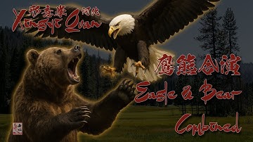 Eagle & Bear Combined Style Kung-Fu - Xingyi Quan - A Brief Glimpse 形意拳鷹熊合演 #fightingstyles