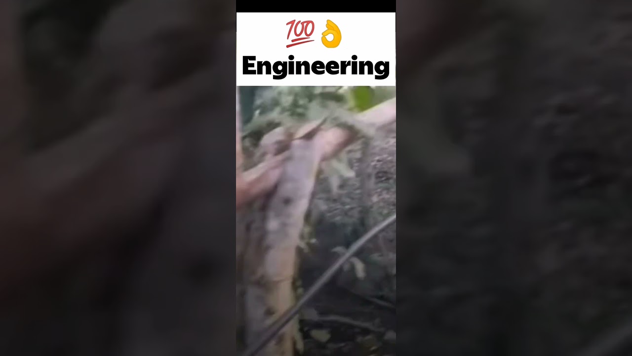 irrigation engineering