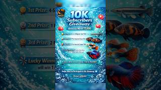 10K Subscribers Giveaway❤️‍🔥₹5000 Worth Gifts🥳💥Participate &amp; Win💯Support max ✅ #suryalifepedia