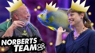 Die Knigin Unter Wasser  Norberts Team  Zoo Zajac