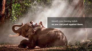 The Elephant and the Rope screenshot 5