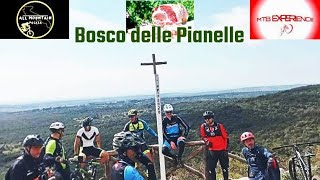 MTB Bosco delle Pianelle   GFondo del capocollo