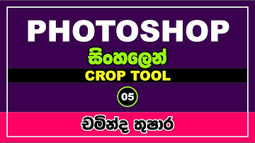 5 - Adobe Photoshop || Crop tool || Sinhala || IT Plus