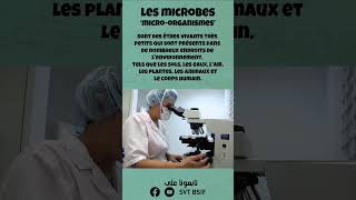 les microbes svt 3ème année collège Maroc - svt 3ac