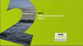 BBC2 NI - Faulty Junction - 13/8/13