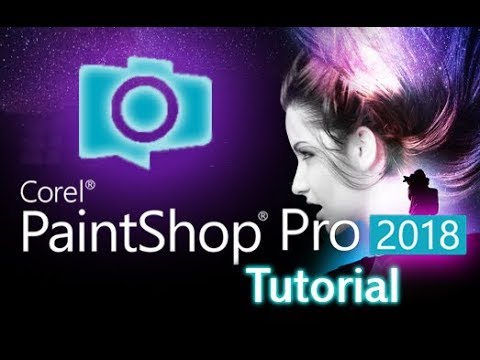 corel paintshop pro 2019 ultimate manual