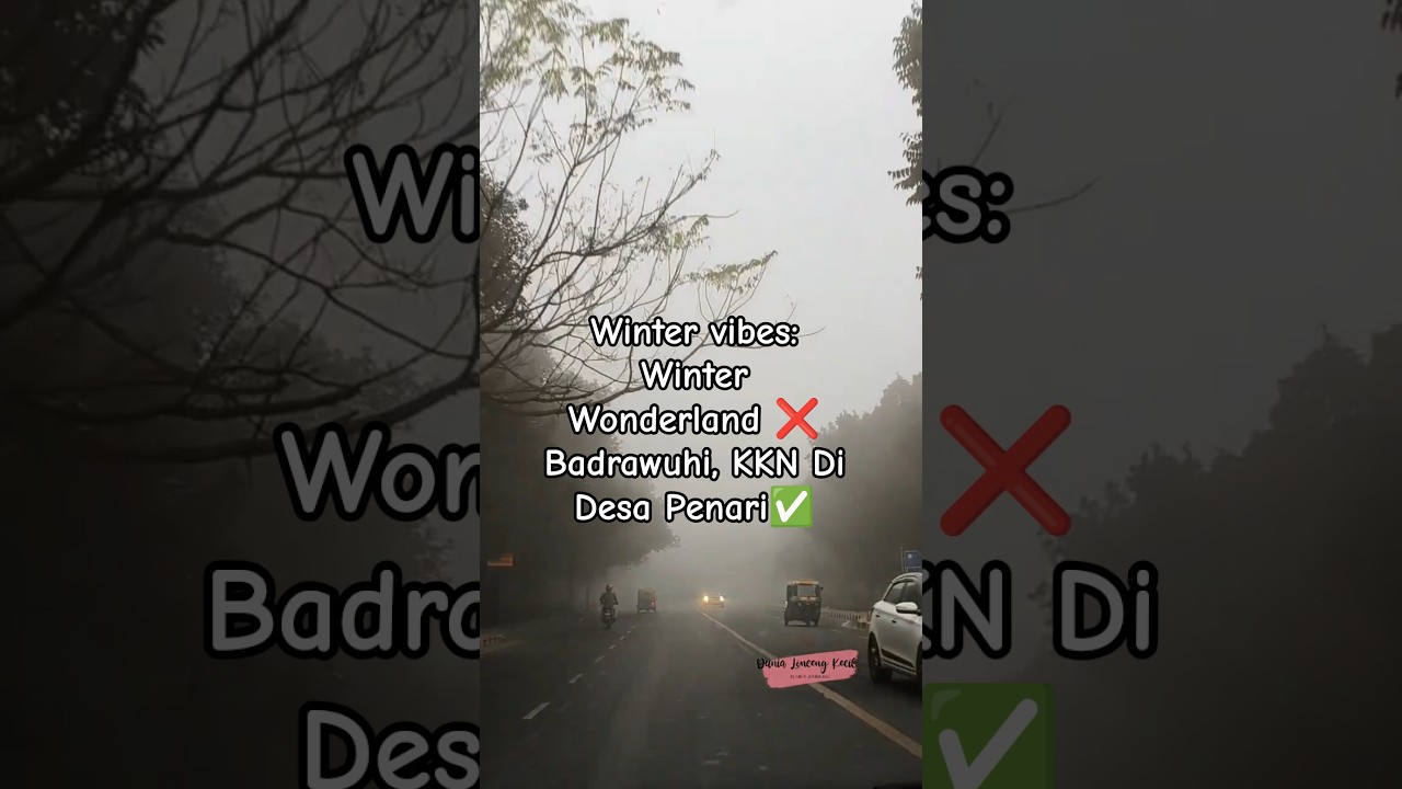 Enchanted vibe yet spooky..... 