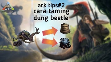 Ark survival(mobile):Cara taming dung beetle