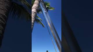 Boat Lift Piling Install