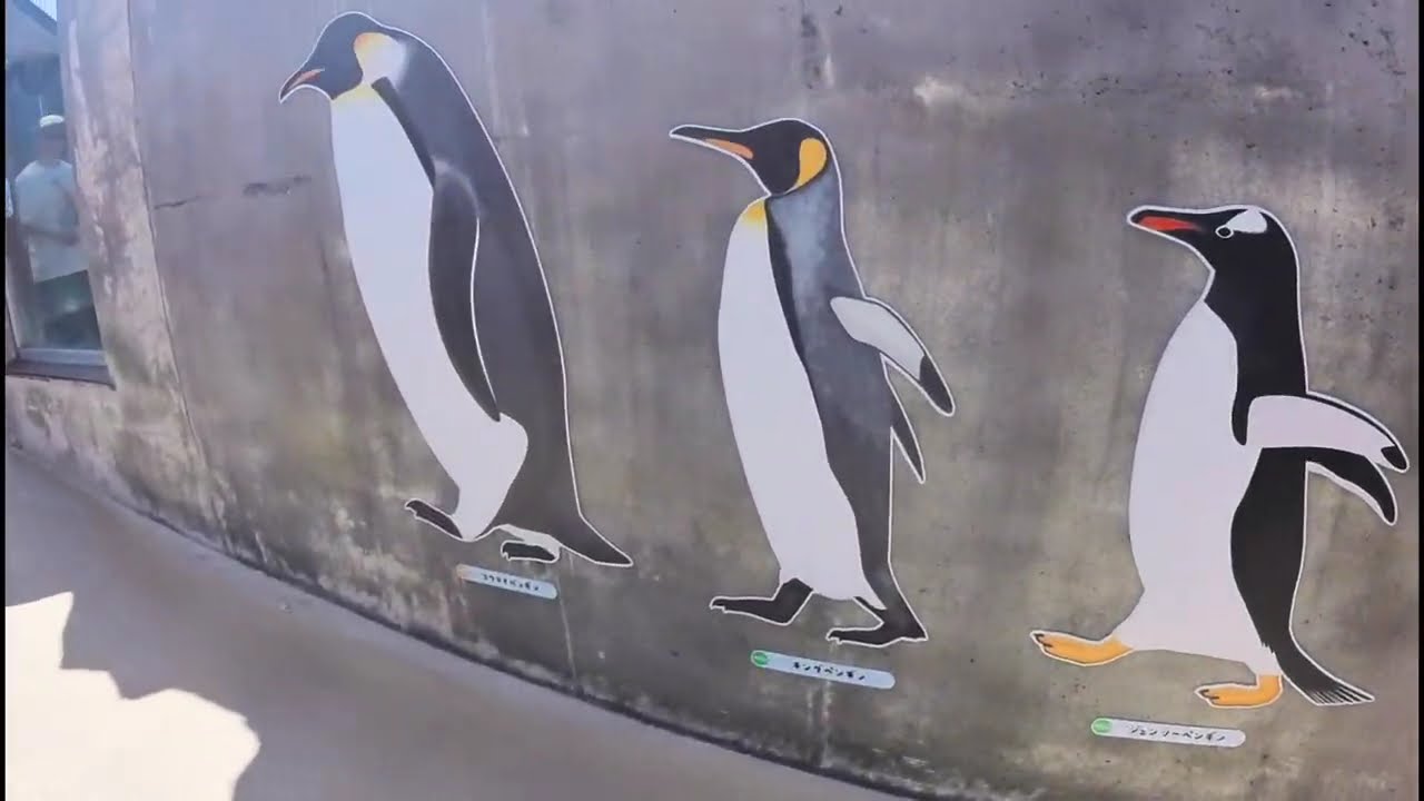 ZOO X Morning Piano Morning music 朝のピアノ 朝の音楽 - YouTube