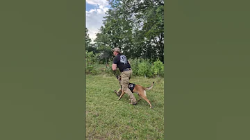 Untitled Video 