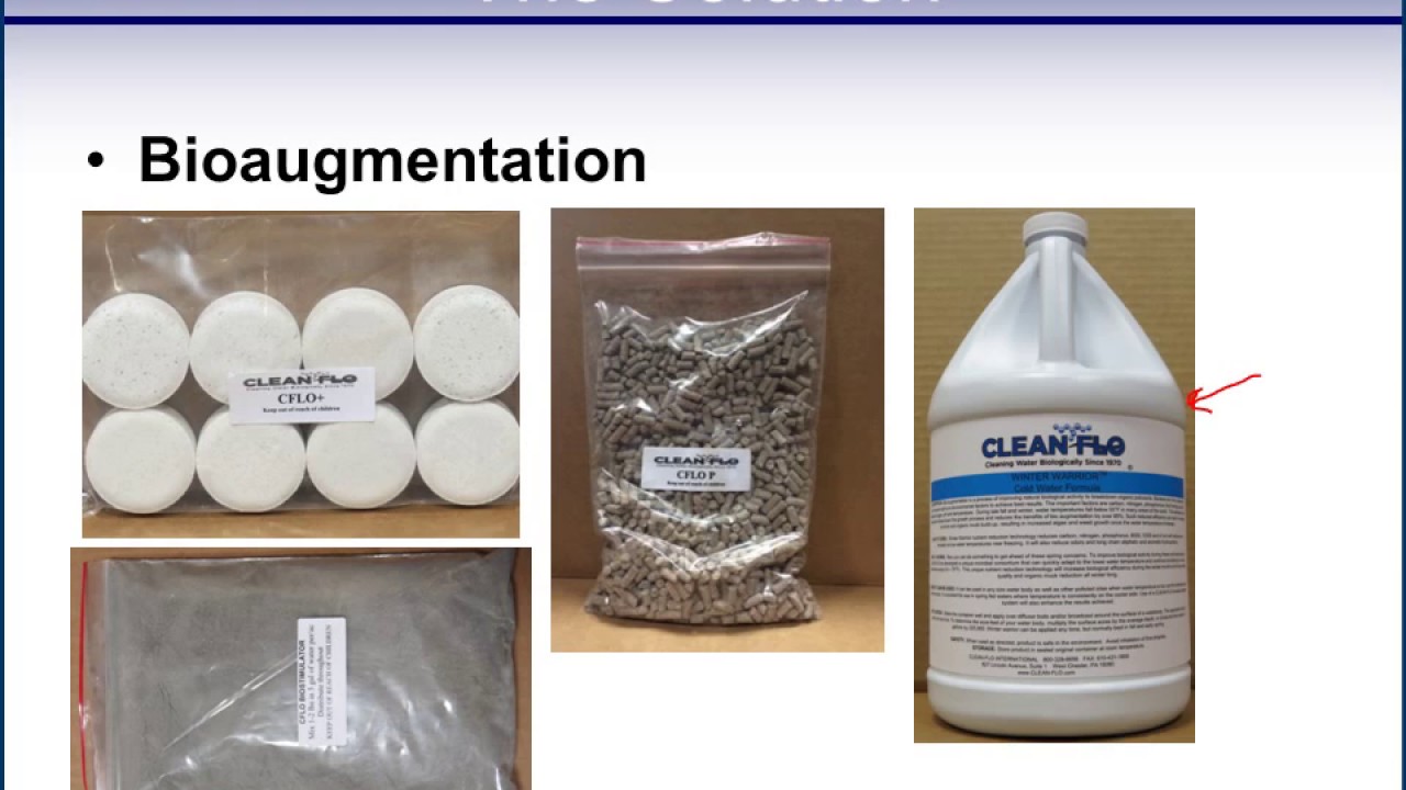 Clean Flo Lake Restoration Presentation - YouTube
